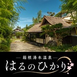 はるのひかり